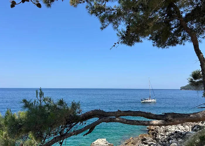 Filipa Διαμέρισμα